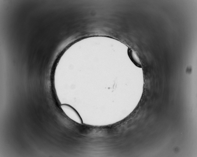 X0000103400248200810241017