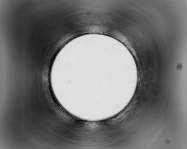 X0000103400249200810241017