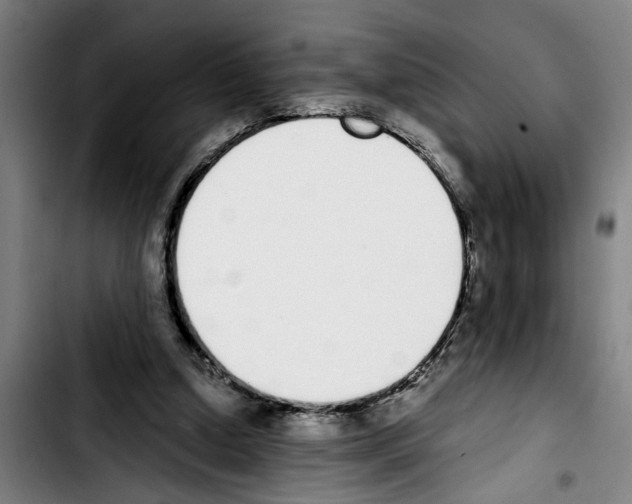 X0000103400250200810241017