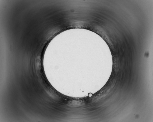 X0000103400251200810241017