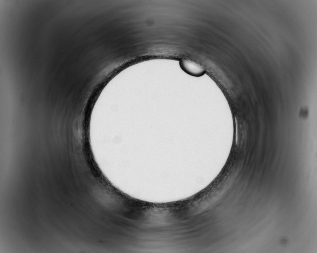 X0000103400252200810241017