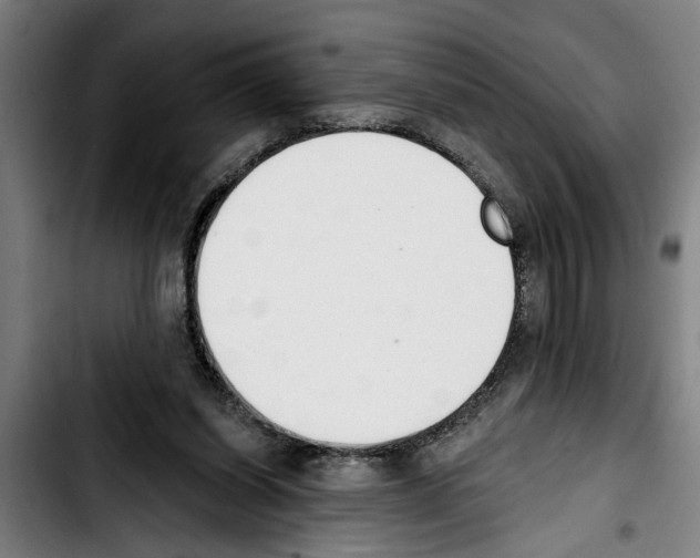 X0000103400254200810241017