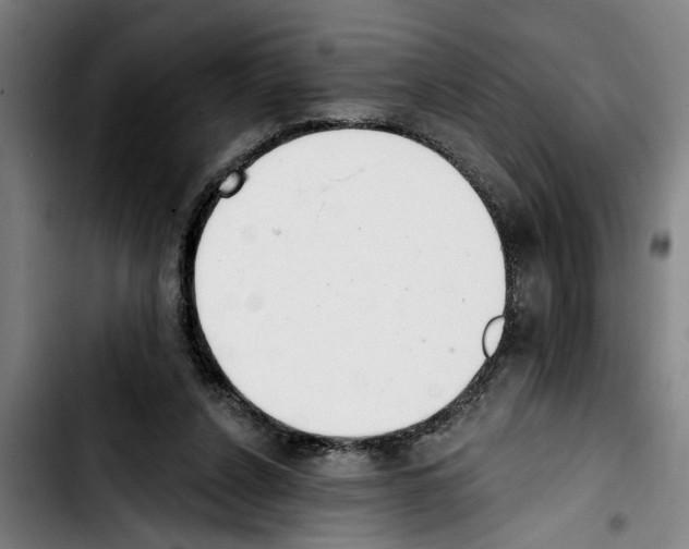 X0000103400256200810241017