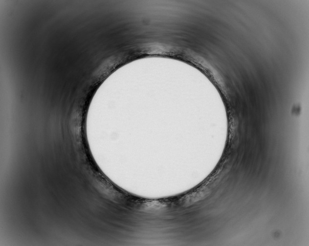 X0000103400257200810241017