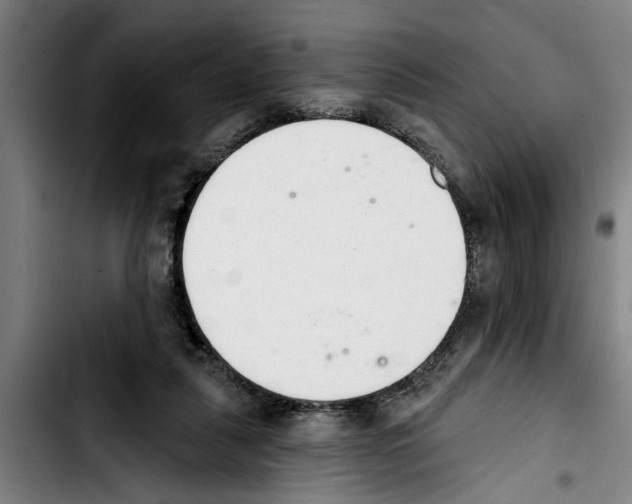 X0000103400259200810241017