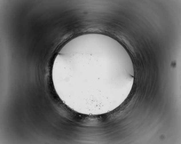 X0000103400260200810241017