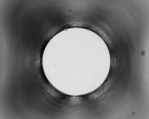 X0000103400261200810241017