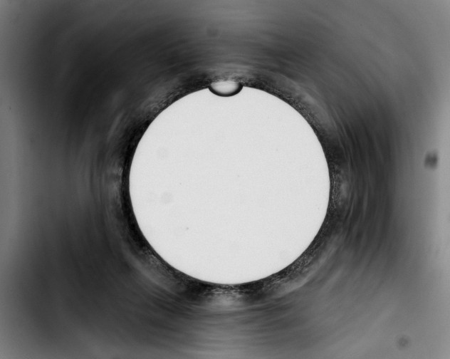 X0000103400263200810241017