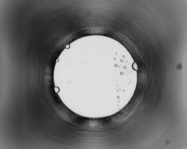 X0000103400264200810241017