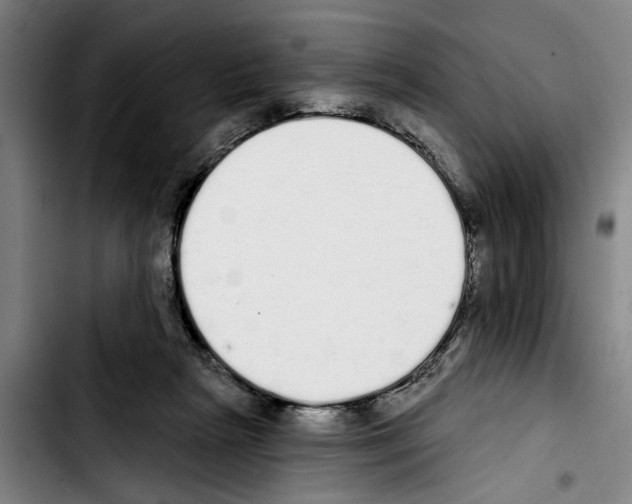 X0000103400265200810241017