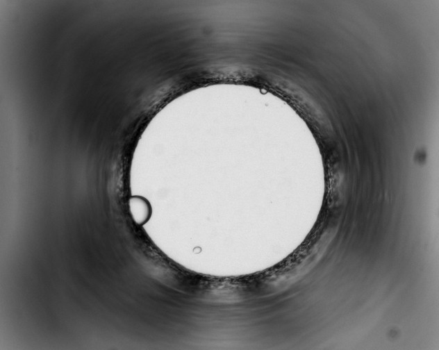 X0000103400268200810241017