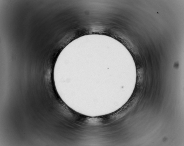 X0000103400269200810241017