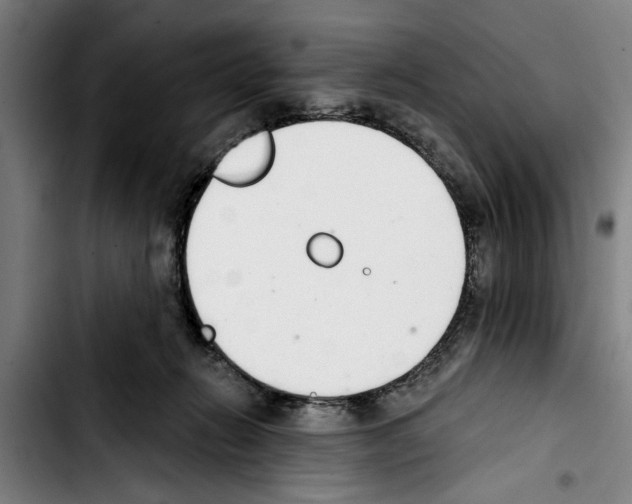 X0000103400270200810241017