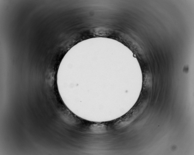 X0000103400271200810241017