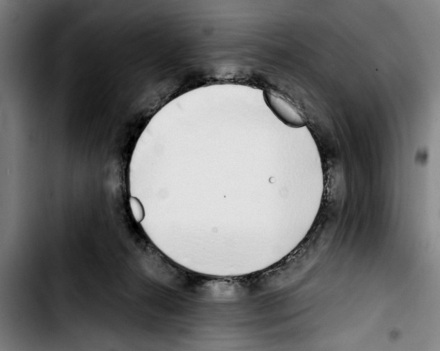 X0000103400272200810241017