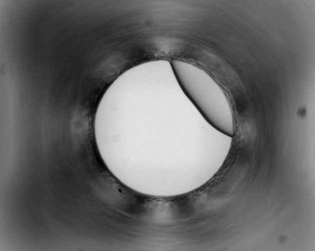 X0000103400276200810241018