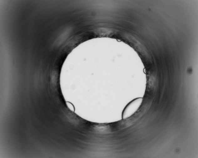 X0000103400283200810241018