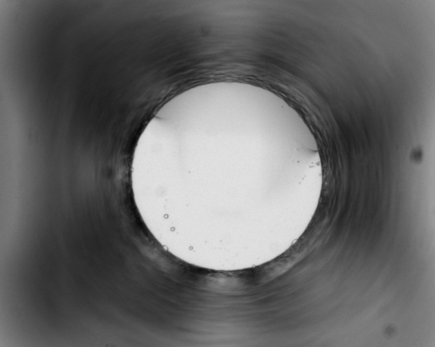 X0000103400284200810241018