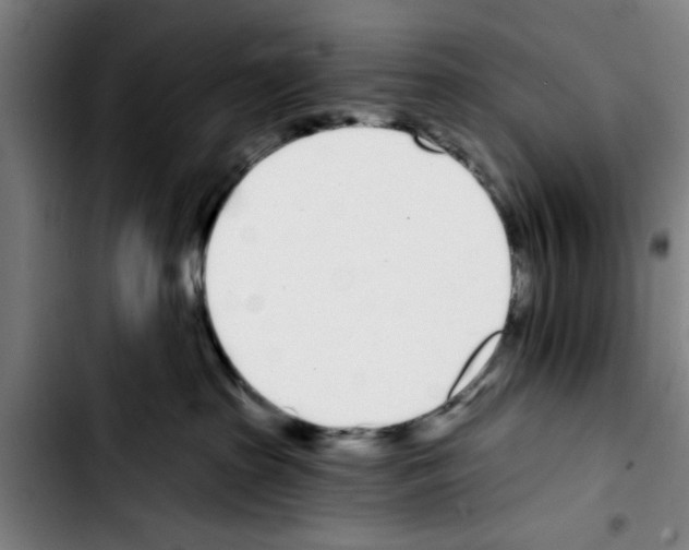 X0000103400285200810241018