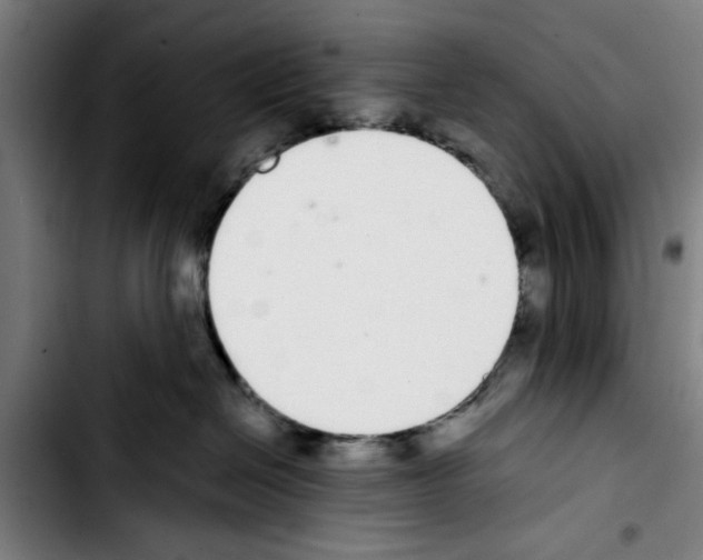 X0000103400286200810241018