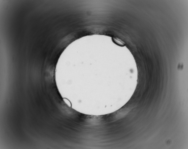 X0000103400288200810241018