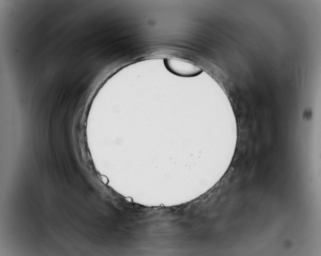 X0000103400289200810241017