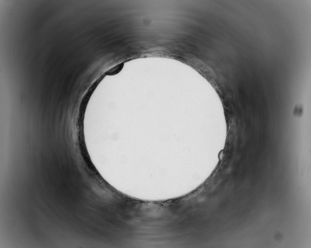 X0000103400290200810241017