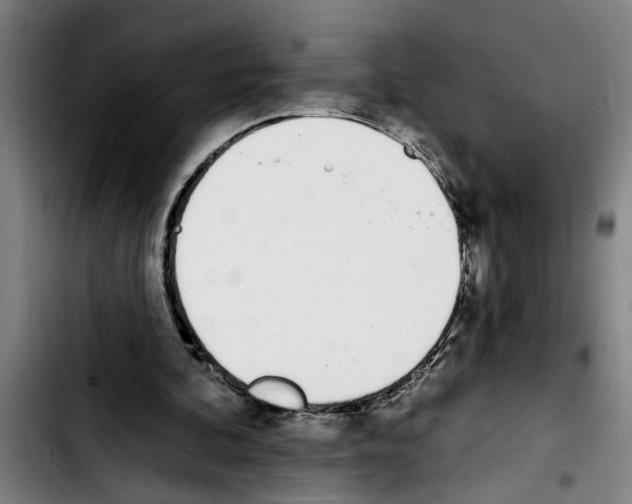 X0000103400292200810241017