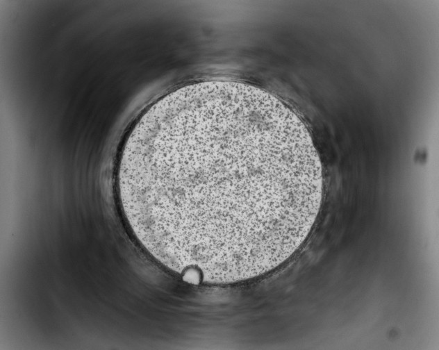 X0000103400293200810241017