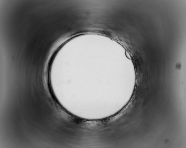 X0000103400294200810241017