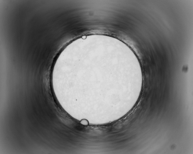 X0000103400297200810241017