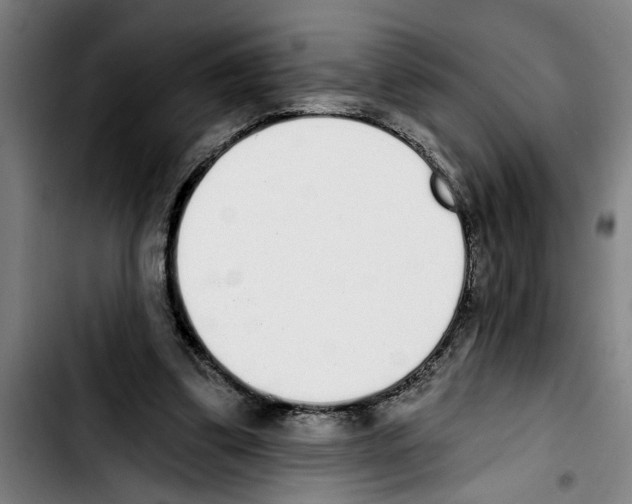 X0000103400299200810241017