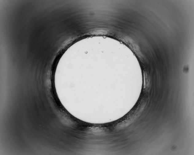 X0000103400300200810241017