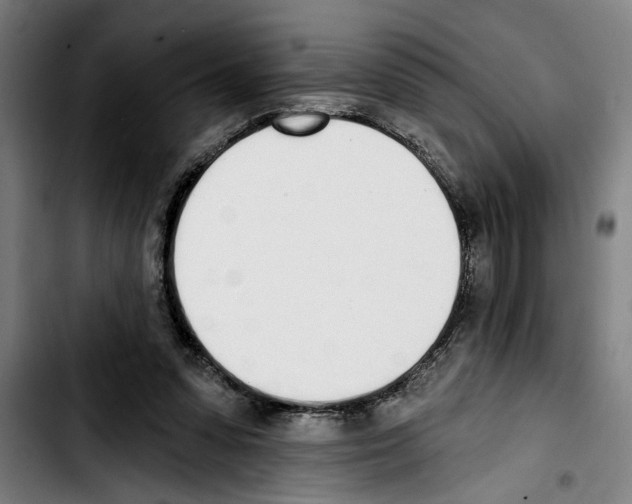 X0000103400303200810241017