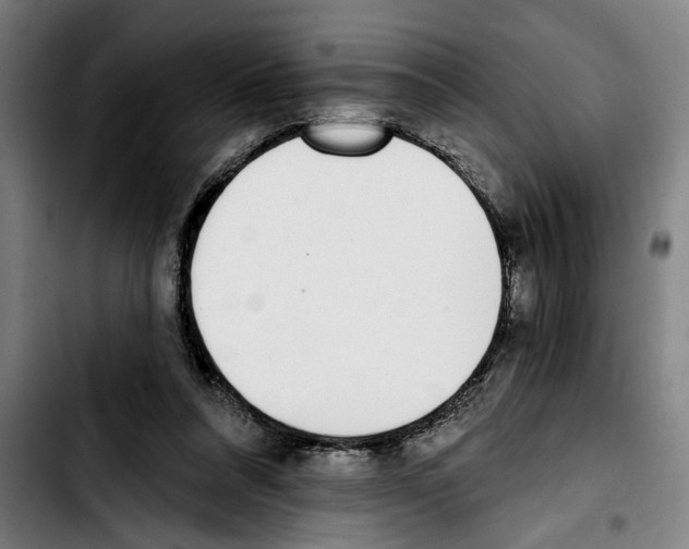 X0000103400304200810241017