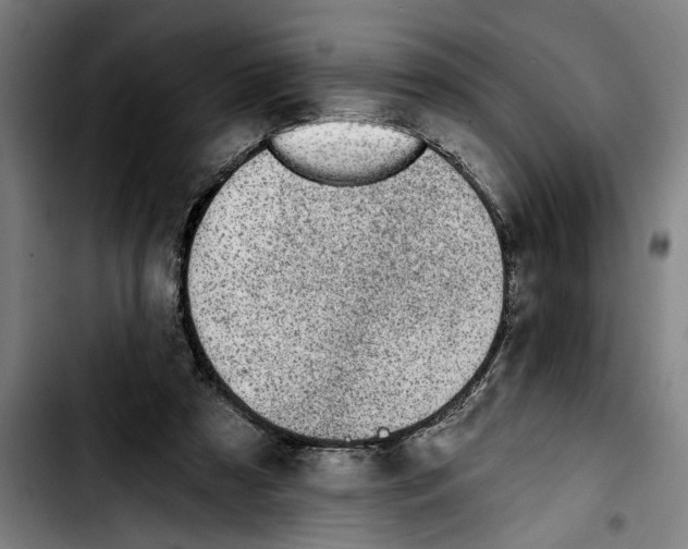 X0000103400305200810241017