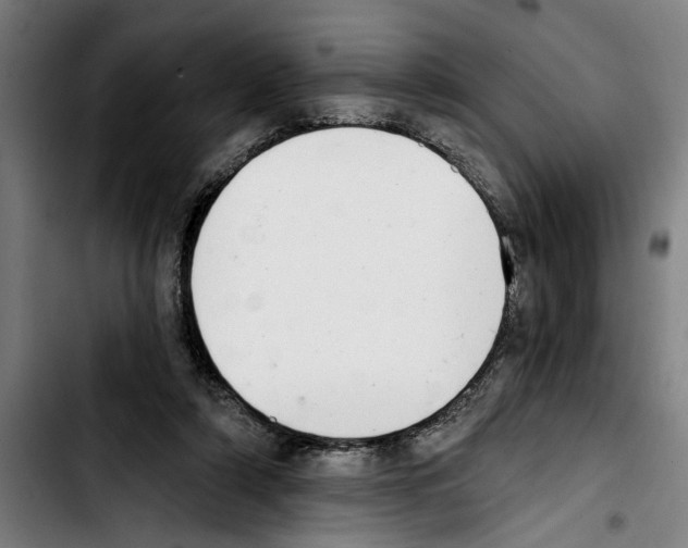 X0000103400306200810241017