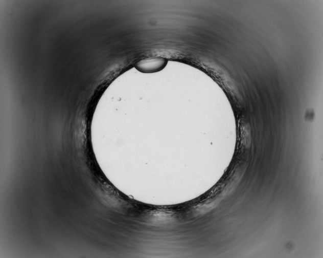 X0000103400308200810241017