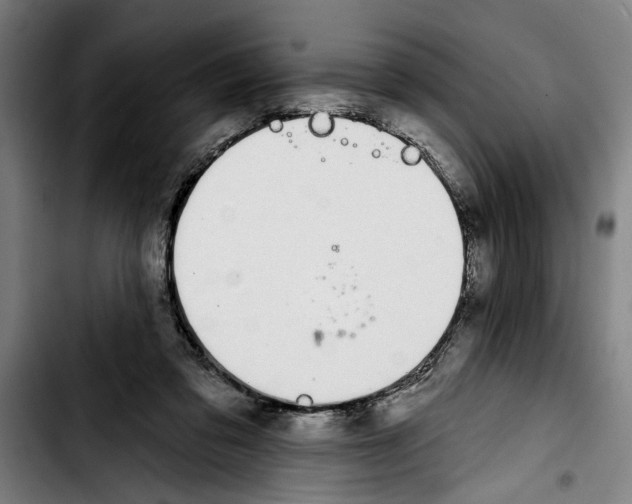 X0000103400309200810241017