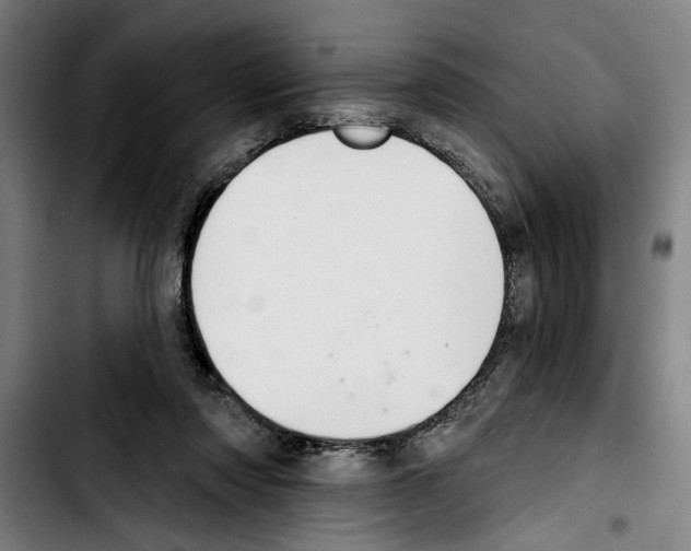 X0000103400310200810241017