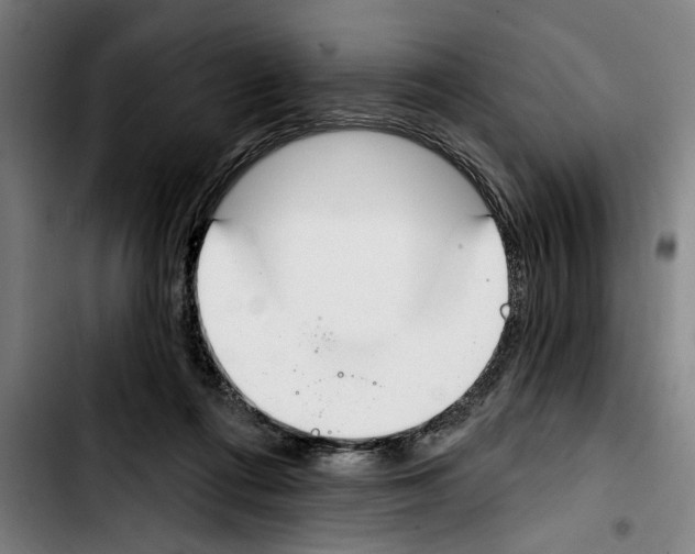 X0000103400312200810241017