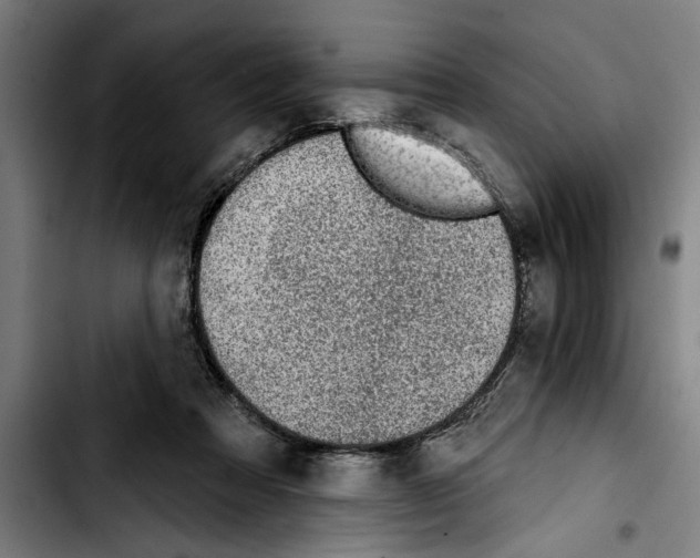 X0000103400313200810241017