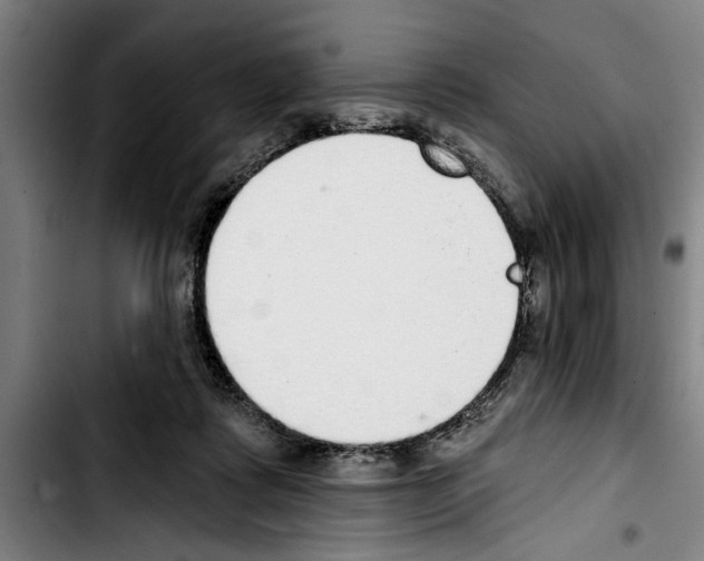 X0000103400315200810241016