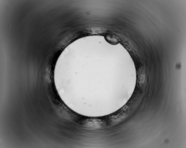 X0000103400316200810241016