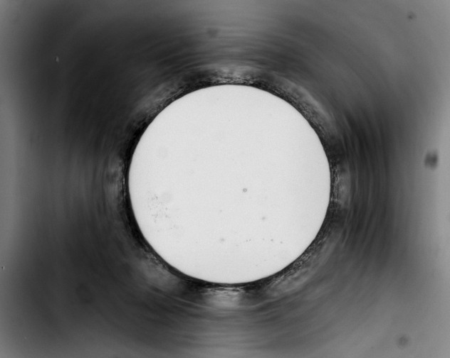 X0000103400318200810241016