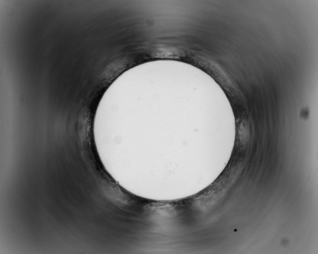 X0000103400322200810241016