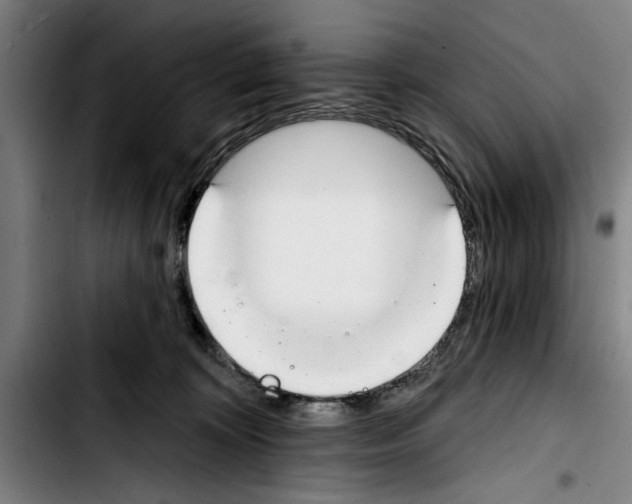 X0000103400324200810241016