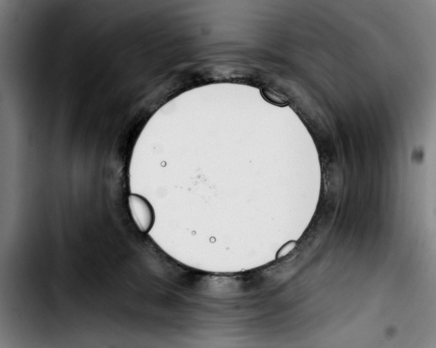 X0000103400327200810241016