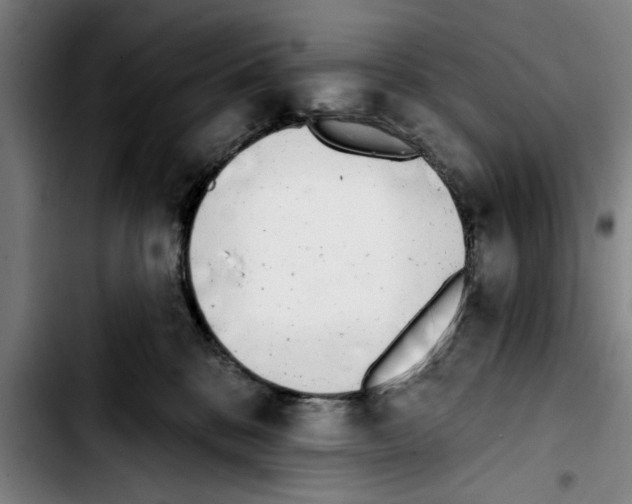 X0000103400328200810241016