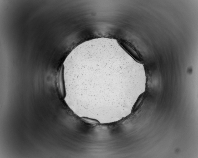 X0000103400332200810241016